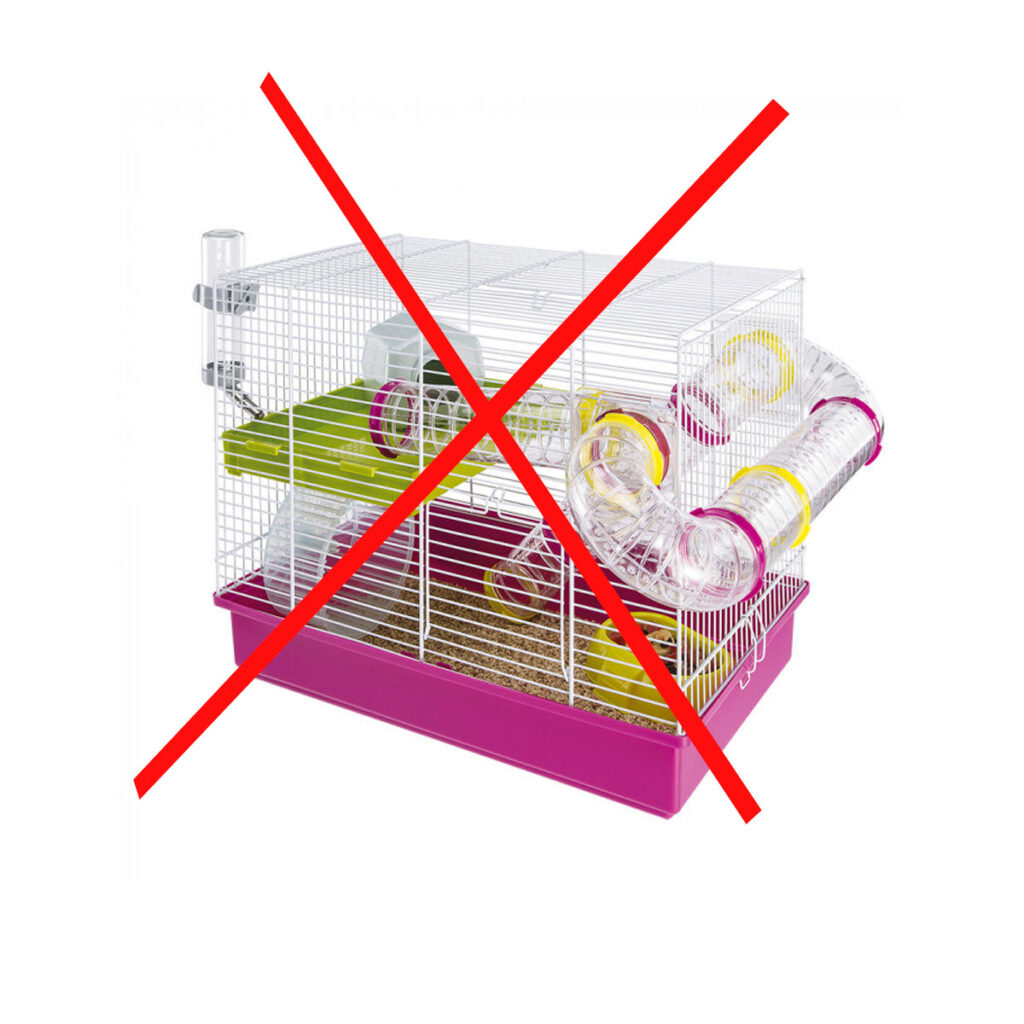 Verkeerd Lotsbestemming Pamflet Budget hamsterkooi - vind hier een groot betaalbaar hamsterverblijf -  Hamsterlife