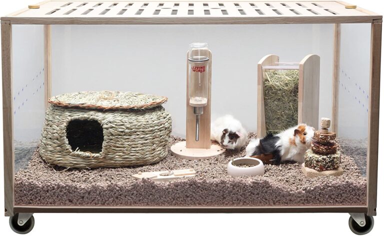 verraden Dochter Ale Top 3 mooie hamsterkooien en verblijven van 2021 - Hamsterlife